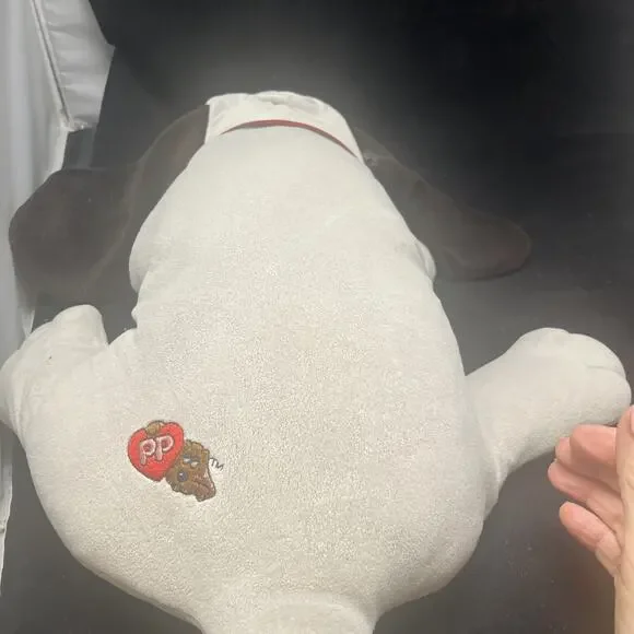 Vintage 1985 Tonka Pound Puppy - Gray with long ears, 2 feet long 24” Large - Picture 7 of 10